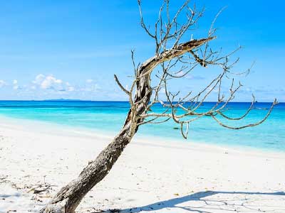 Transportation to Isla Blanca